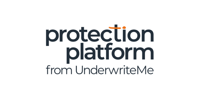 Protection Platform Logo
